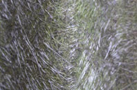 Lidget Green fibreglass roof work